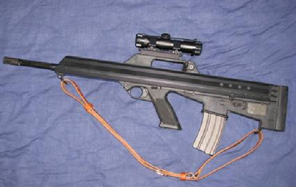 IBUS M17S Straight Pull Rifle