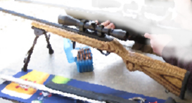 RUGER 1022